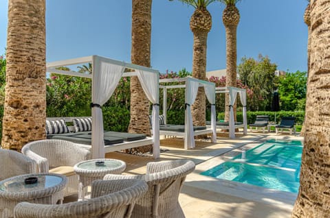 Drossia Palms Hotel and Nisos Beach Suites Apartment hotel in Malia, Crete