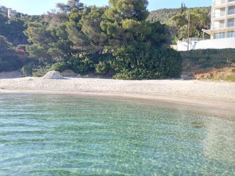 Natural landscape, Beach