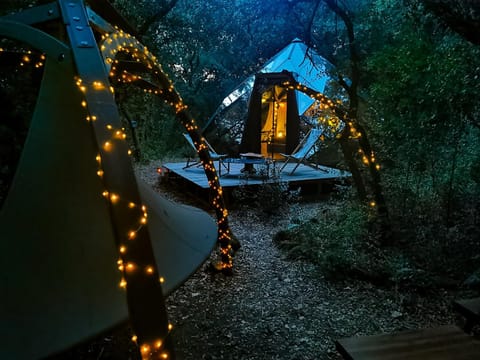 Night, Garden view