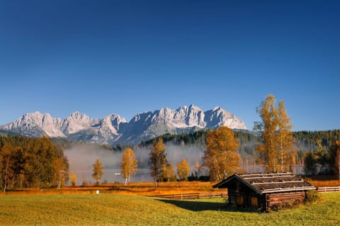 Natural landscape