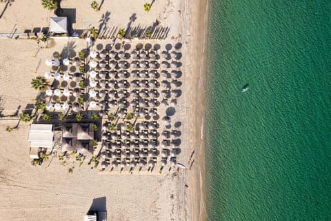 Property building, Beach, Beach