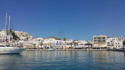 Neighbourhood, Natural landscape, Summer