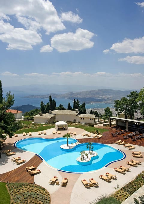 Day, Pool view, Swimming pool