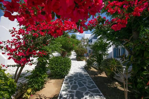 Garden, Garden view