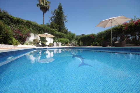 Day, Summer, On site, Pool view, Swimming pool, Swimming pool