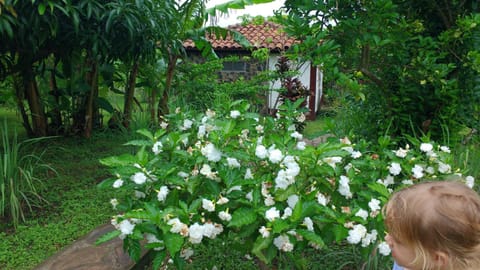 Finca Mystica Lodge nature in Nicaragua