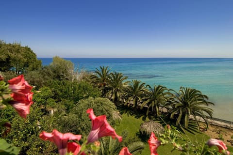 Day, Natural landscape, Garden, Beach, Sea view