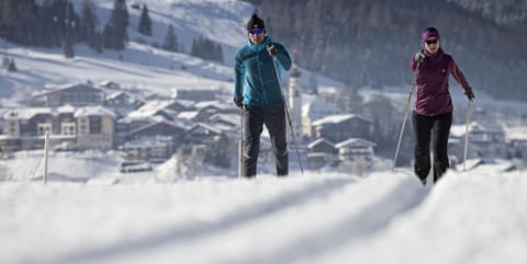 Natural landscape, Winter, Skiing, group of guests