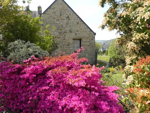 Villa d'Ys Bed and Breakfast in Finistere