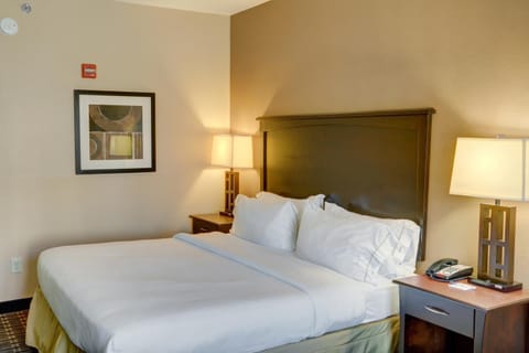 Holiday Inn Express Hotel & Suites Texarkana East, an IHG Hotel Hotel in Texarkana