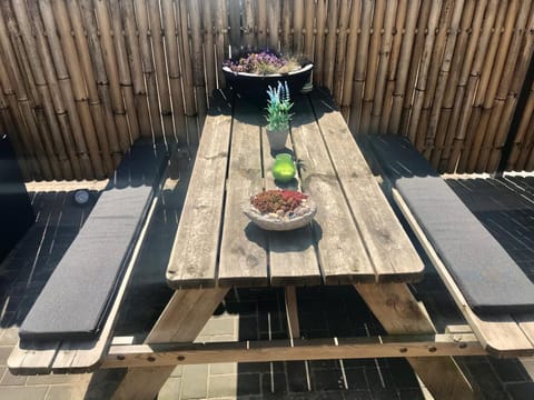 Summer, Garden, Balcony/Terrace, Seating area