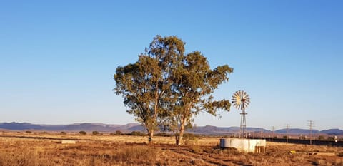 Witkrans Guest Farm Bed and Breakfast in Eastern Cape