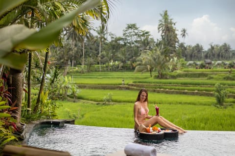 Madani Antique Villas Villa in Payangan