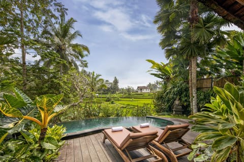 Pool view, Pool view, Swimming pool, Swimming pool