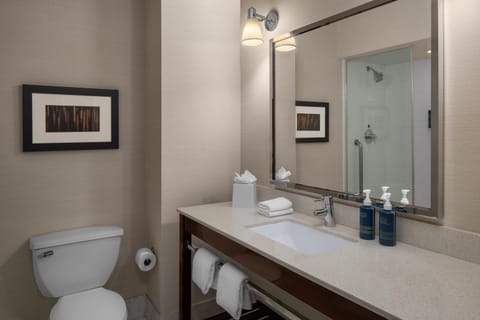 Shower, Toilet, Bathroom, towels