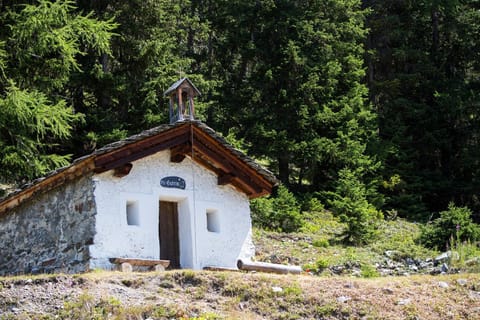 Chalet JJ Chalet in Sainte-Foy-Tarentaise