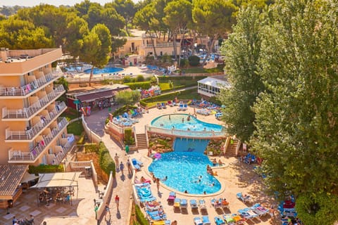 Bird's eye view, Swimming pool