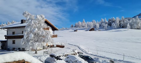 Property building, Natural landscape, Winter