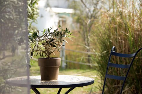 Patio, Balcony/Terrace, Garden view