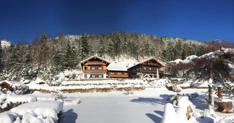 Facade/entrance, Winter