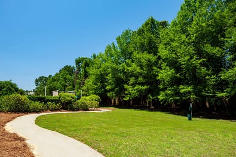 Inner courtyard view