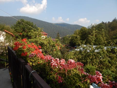 Casa David Villa in Sinaia