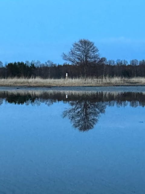 Annenhof Holiday House Vacation rental in Harju County, Estonia