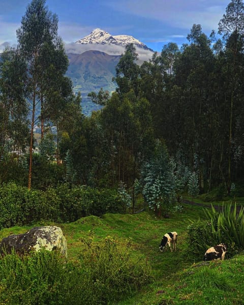 Natural landscape, Mountain view