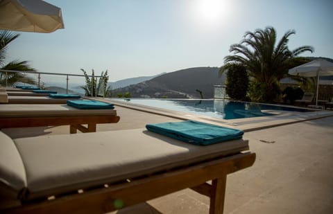 Balcony/Terrace, Pool view