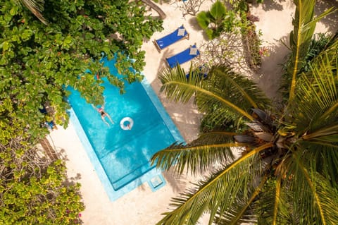 Bird's eye view, Swimming pool, Swimming pool