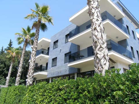 Property building, Day