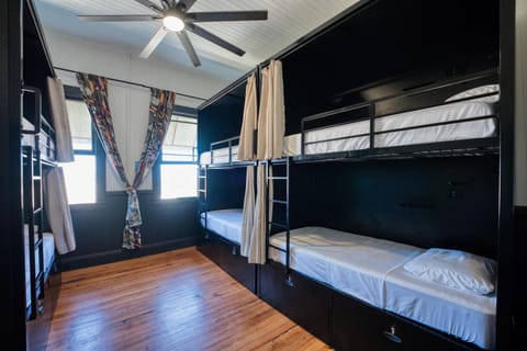 Bed, Photo of the whole room, Bedroom, bunk bed