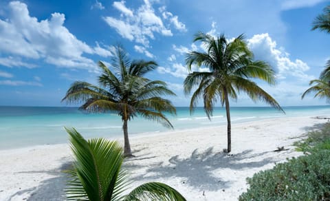 Natural landscape, Beach, Sea view