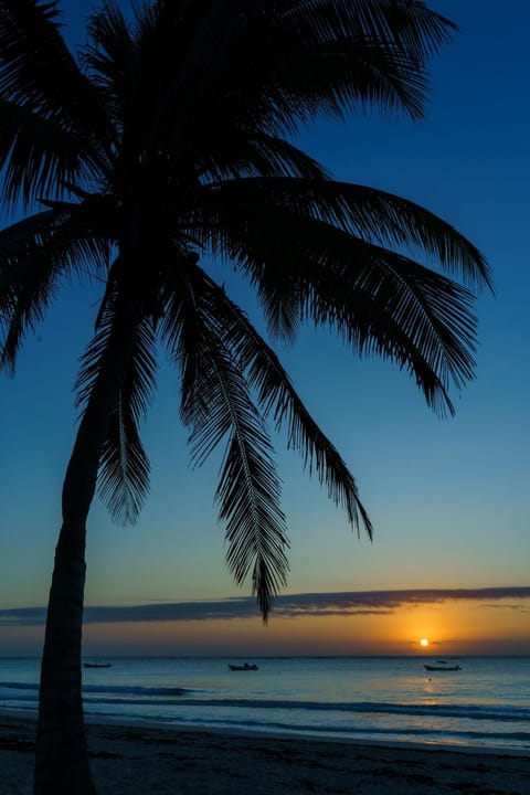 Natural landscape, Beach, Sea view