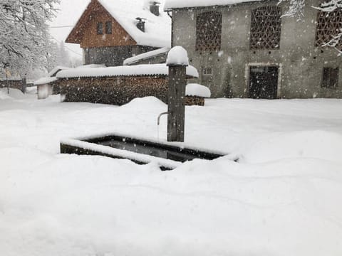 Property building, Winter