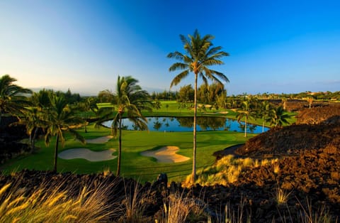 Waikoloa Beach Villas H32 Villa in Puako