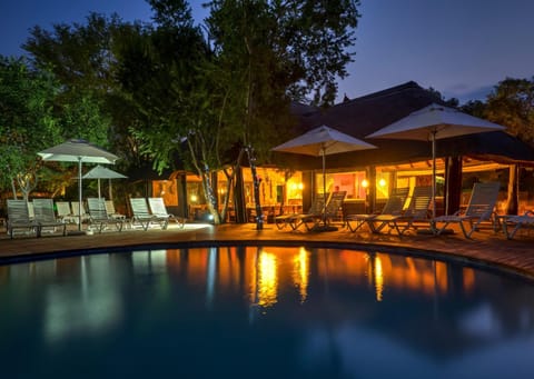 Property building, Restaurant/places to eat, Night, Natural landscape, Pool view, Swimming pool