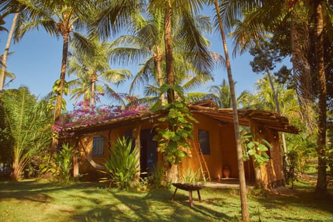 Pousada Peixe do Mato Bed and Breakfast in State of Alagoas, Brazil