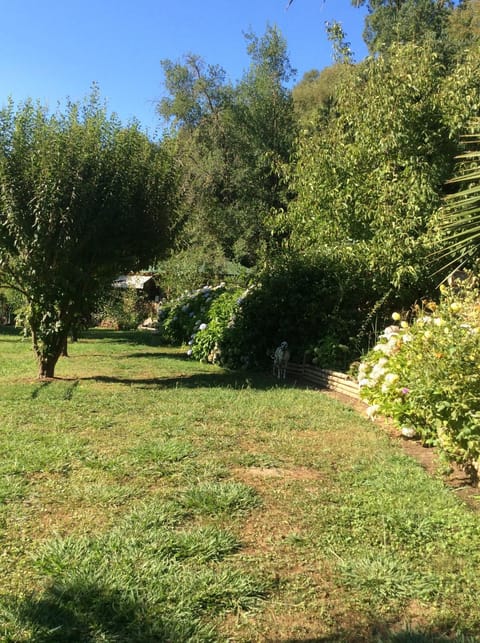 Cabañas Rahue Casa in Maule