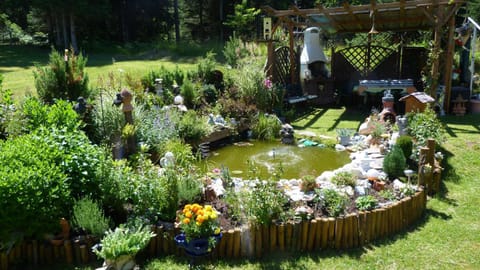 Summer, Garden view, Garden view