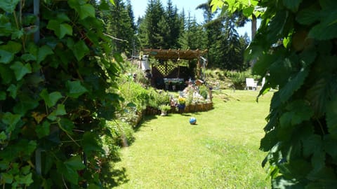 Summer, Garden view