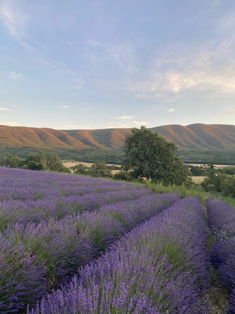 Neighbourhood, Other