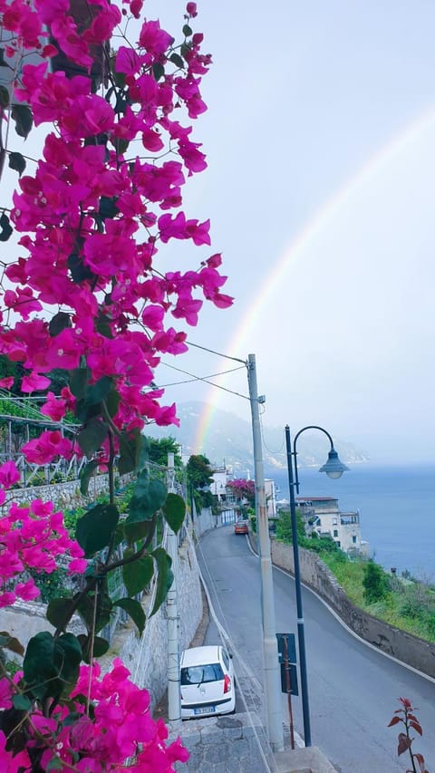 Natural landscape, Balcony/Terrace