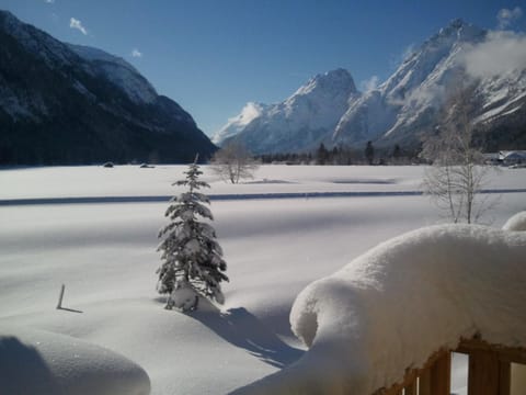 Winter, Mountain view