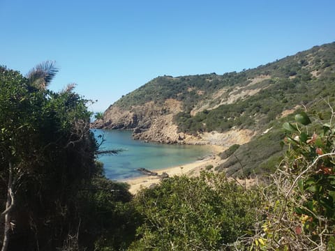 Nearby landmark, Spring, Day, Natural landscape, Beach