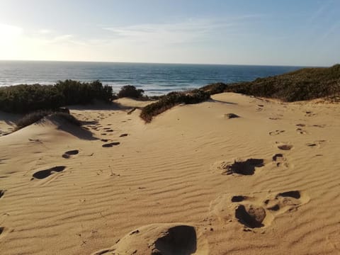 Nearby landmark, Natural landscape, Beach, Location