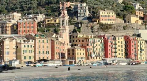 Nearby landmark, Neighbourhood, Beach, City view, Location