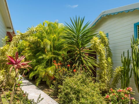 Property building, Garden, Garden view