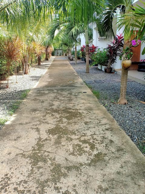 Coconoi Residence Condo in Rawai