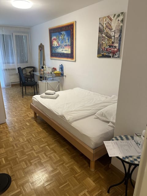 Schönes Zimmer in der City Basel Bed and Breakfast in Basel